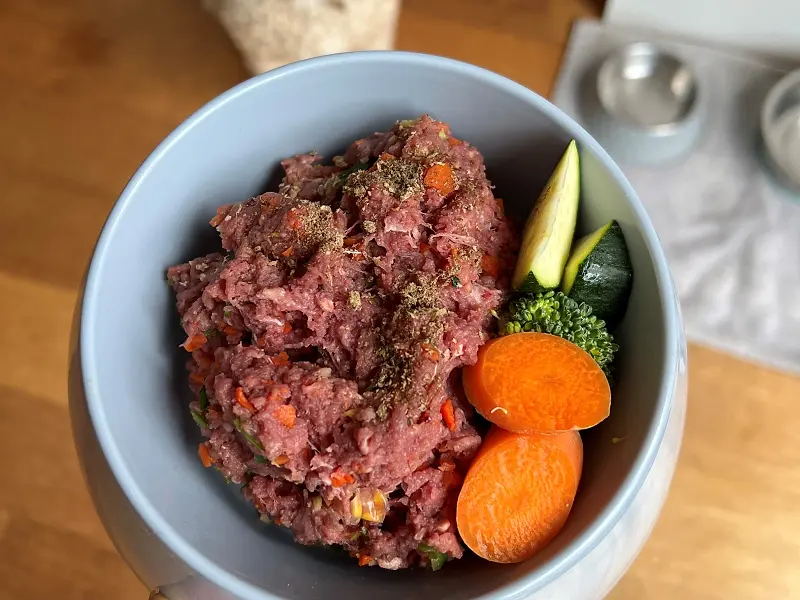 Raw Feeding for Dogs: A Beginner's Starter Guide (BARF Ratios)
